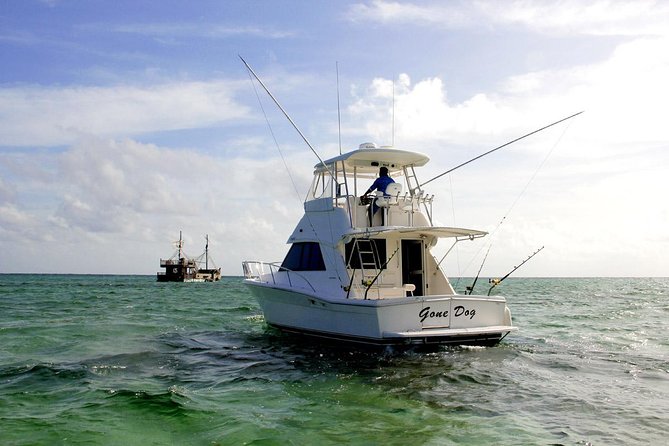 Private Punta Cana Six Hour Fishing Charter - Chasing blue marlin, sailfish, and mahi mahi