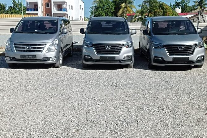 Private Roundtrip Transfer from Punta Cana Airport to Hotels - Key points before you book