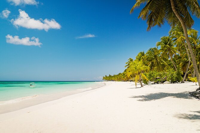 Private Saona Island Excursion - Key points at a glance