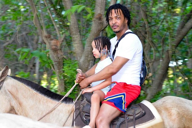 Private Sunset Horseback Riding in punta cana beach - Reaching the coast near sunset