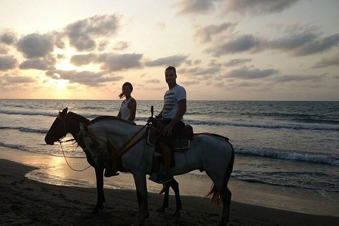 Private Sunset Horseback Riding in punta cana beach - Photos, gifts, and the sales stop