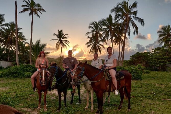 Private Sunset Horseback Riding in punta cana beach - Safety, comfort, and horse welfare