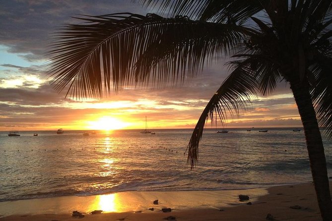 Private Sunset Horseback Riding in punta cana beach - The countryside trail is the real ride