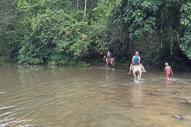 Private Tour in Miches with La Jarda Waterfall Experience - The 6:30 am start from Punta Cana