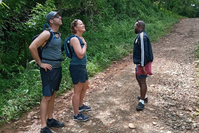 Private Tour in Miches with La Jarda Waterfall Experience - What the private format really changes
