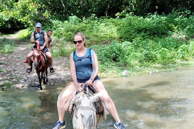 Private Tour in Miches with La Jarda Waterfall Experience - The main drawbacks to weigh carefully