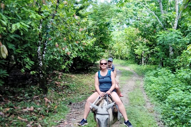 Private Tour in Miches with La Jarda Waterfall Experience - Reaching Salto de La Jalda through coffee and cacao country