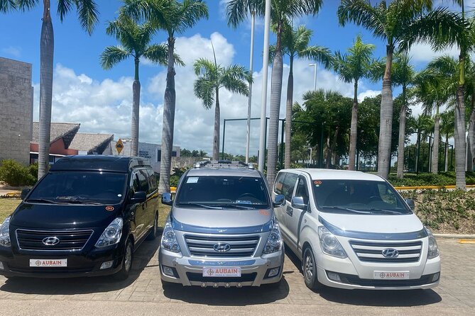Private Transfer Between Punta Cana and Bavaro - What the service does well