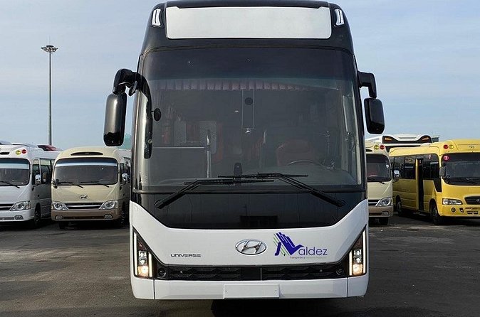 Private Transfer From or to Punta Cana Airport to hotels in Bávaro - Reliability, ratings, and what they really tell you