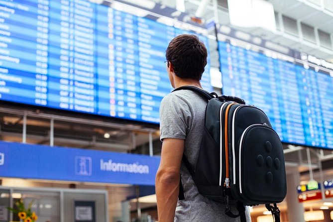 Private Transfer from Punta Cana Airport (PUJ) - Cancellation, luggage, and other practical details