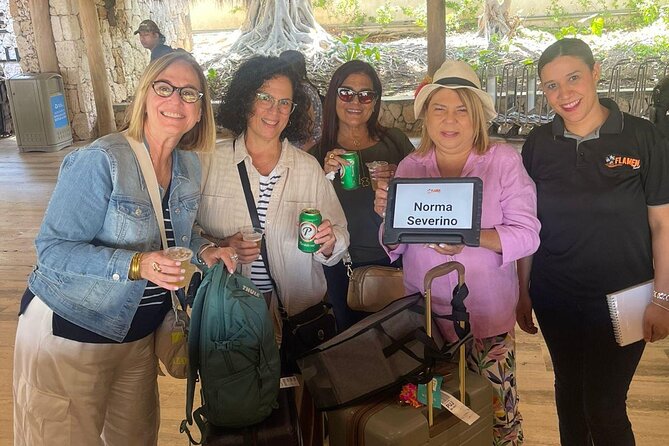 Private Transfer from Punta Cana Airport to Your Hotel - From Punta Cana airport to Bávaro