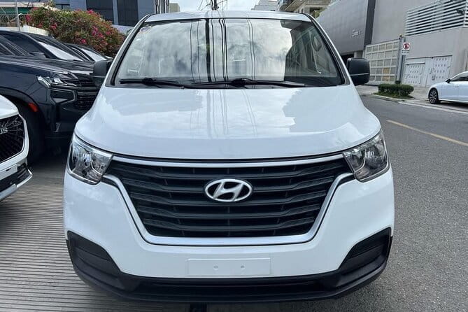 Private transfer from Puntacana airport to hotels-luxury services - Finding your driver after landing