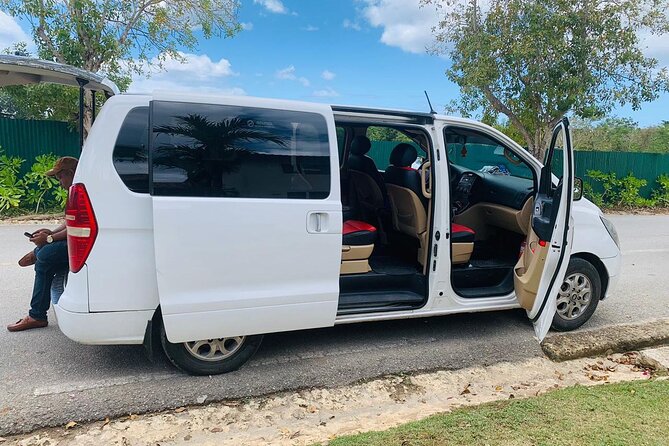 Private Transfer from Santo Domingo Airport to Bayahibe - Meeting your driver at Las Americas Airport