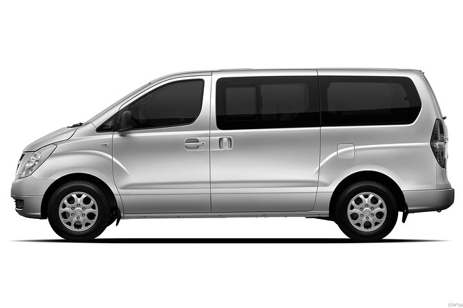 Private Transfer in Punta Cana from Airport and Hotels - Who will get the most from this transfer