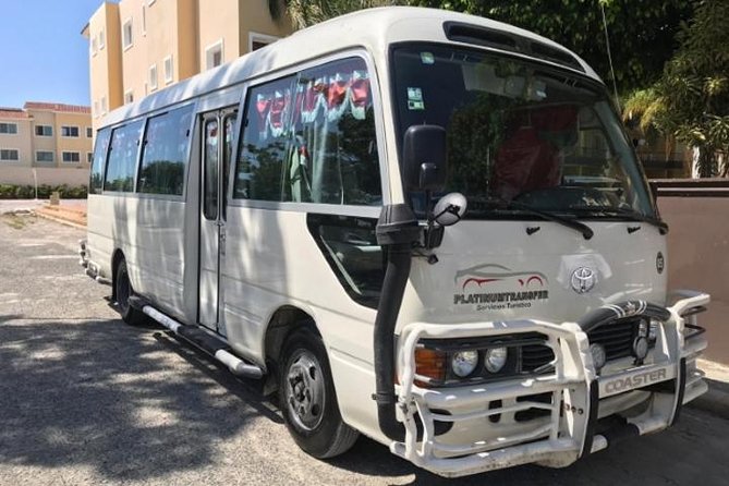 Private Transfer Punta Cana Airport - What the Driver Service Is Like