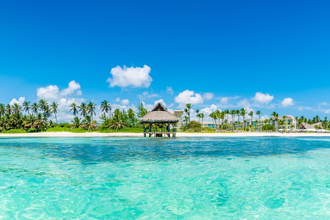Private Transfer Punta Cana Airport PUJ - Punta Cana Bavaro Veron - Vehicle comfort, size, and luggage limits