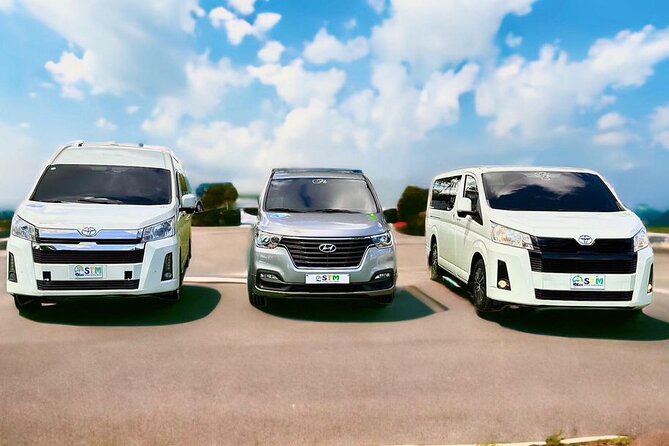 Private Transfer to/from Punta Cana Airport - Why bilingual service matters