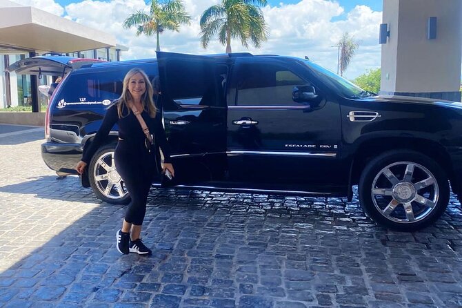 Private Transfers From Punta Cana Airport to Punta Cana Hotels - Who will like this transfer most