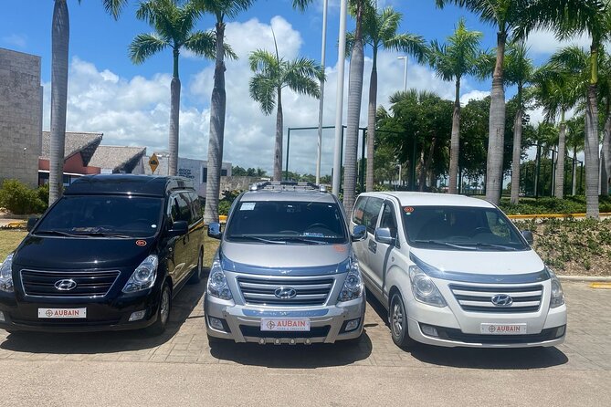 Private Transfers From Punta Cana To Bavaro - Who Should Book This Transfer