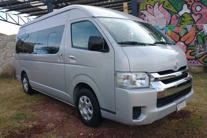 Private Transfers in PUNTA CANA AIRPORT - Is Punta Cana private airport transfer worth booking?