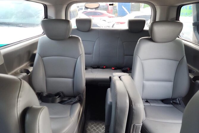 Private Transfers Transportation Airport (PUJ) to PuntaCana and Bavaro Hotels - Private transportation for families and larger groups
