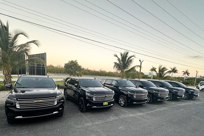 Private VIP Shuttle Service in Punta Cana - Meeting your driver after baggage claim