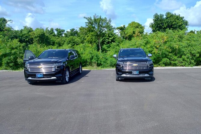 Private VIP Shuttle Service in Punta Cana - Who should book this Punta Cana transfer