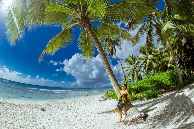 PRIVATE VIP tour Saona Island with Snorkeling, Starfish, Turtles - Key points to know before booking