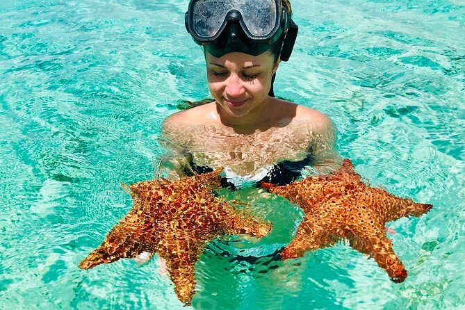 PRIVATE VIP tour Saona Island with Snorkeling, Starfish, Turtles - Why the 6:00 am start changes Saona Island