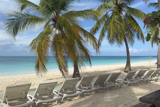 PRIVATE VIP tour Saona Island with Snorkeling, Starfish, Turtles - The natural pool and Caribbean starfish