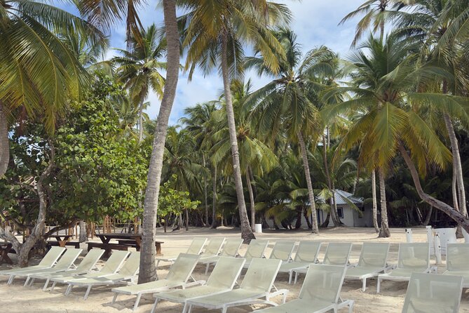 PRIVATE VIP tour Saona Island with Snorkeling, Starfish, Turtles - Who will enjoy this Saona experience most