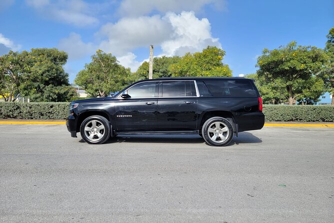 Private VIP Transfer From and To Punta Cana Airport - Child seats, drinks, and other useful touches