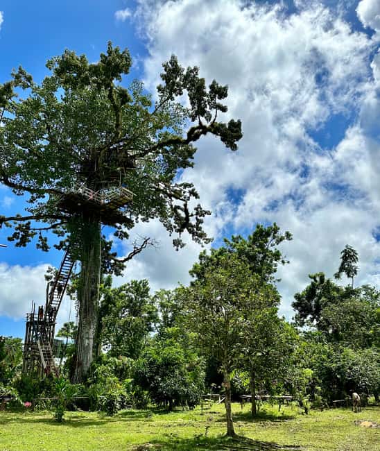 Punta Cana: 3-in-1 Adventure Haitises Park Waterfall Montaña - Rancho Salto Yanigua and the waterfall stop