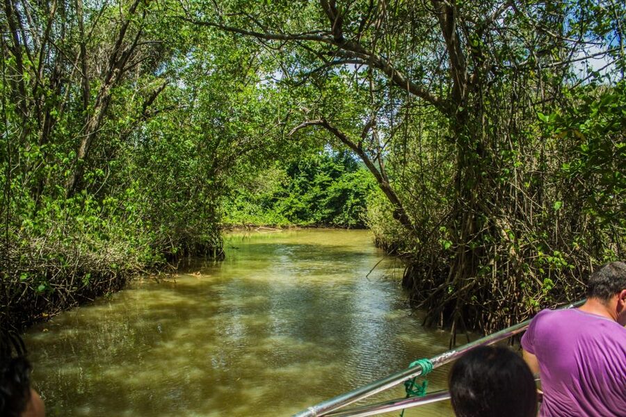 Punta Cana: 3-in-1 Adventure Haitises Park Waterfall Montaña - Cocoa, coffee, blue amber, and Dominican lunch