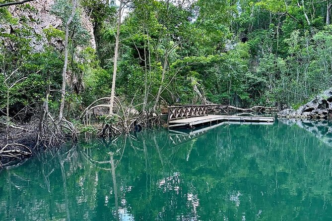 Punta Cana 3in1 Adventure: Los Haitises Park, Waterfall & Montaña - Montaña Redonda and the famous giant swings