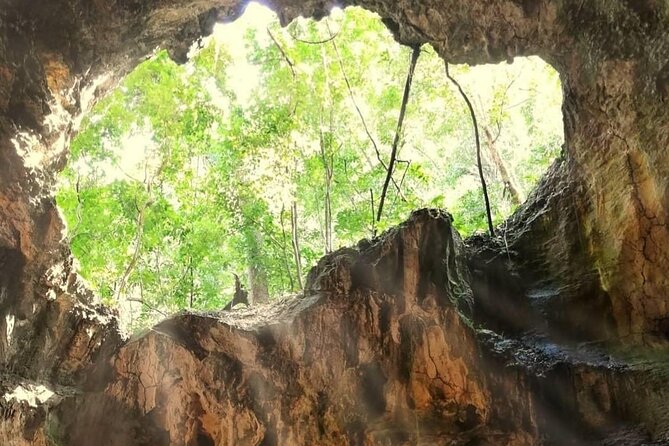 Punta Cana 3in1 Adventure: Los Haitises Park, Waterfall & Montaña - What the guides add to the day