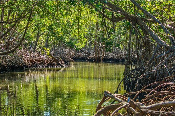 Punta Cana 3in1 Adventure: Los Haitises Park, Waterfall & Montaña - Who will get the most from this excursion