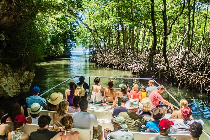 Punta Cana 3in1 Adventure: Los Haitises Park, Waterfall & Montaña - Yanigua Waterfall, cocoa, coffee, and clay