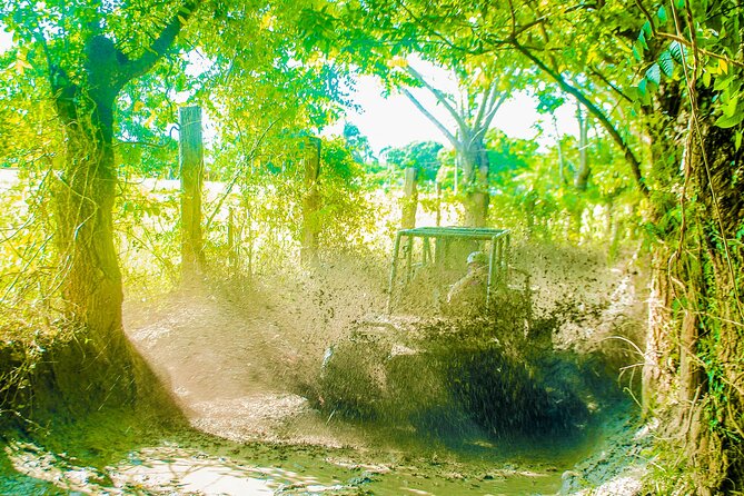 Punta Cana 4 Hours Buggy Tour Cave Macao Beach Free Pick Up - Down the stone steps to Cueva Taína