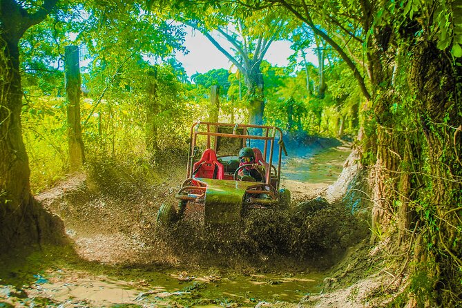 Punta Cana 4 Hours Buggy Tour Cave Macao Beach Free Pick Up - A short stop at Macao Beach