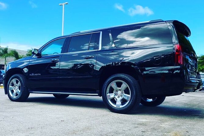 Punta Cana Airport Transfer Bavaro Suburban Trip - Booking, cancellation, and weather rules