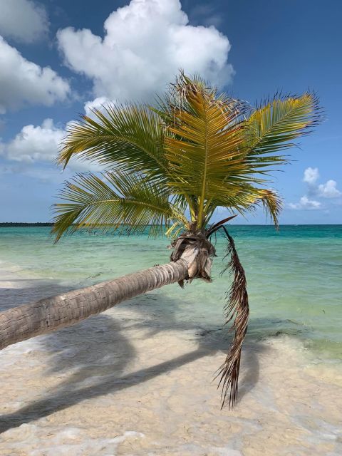Punta Cana: All Inclusive Saona Island Experience - Who will enjoy this day most
