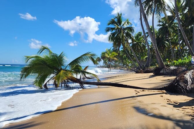 Punta Cana: Amazing ATV Adventure Private Road & Beach W/ PickUp - From your hotel to Macao village