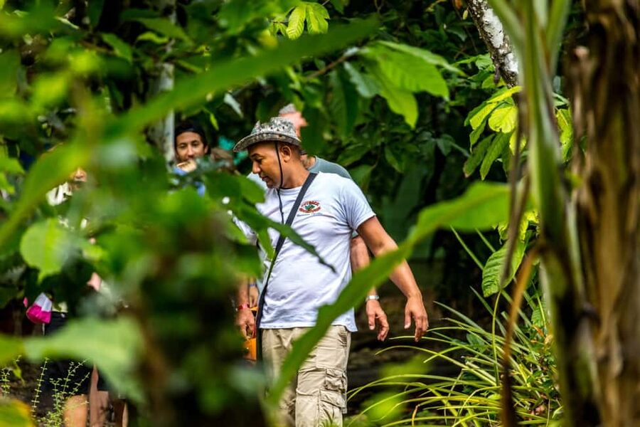 Punta Cana: Anamaya Mountains Walking Tour with Tasting - Walking through farms, forest, and mountain country