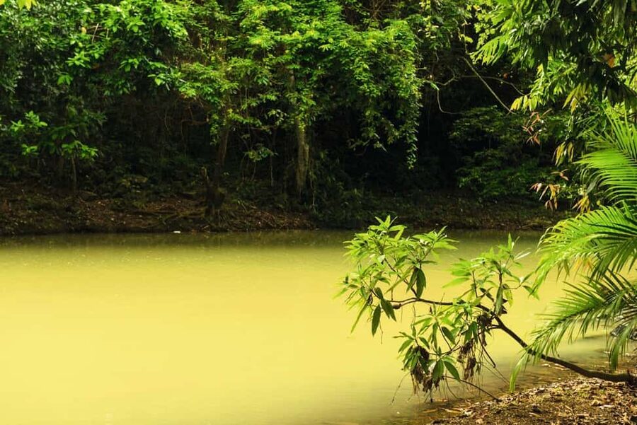 Punta Cana: Anamaya Mountains Walking Tour with Tasting - Who should choose this outing