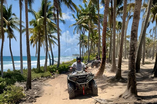 Punta Cana ATV: Jungle, Beach & River Small Group Tour - How much value do you get for $87.99?