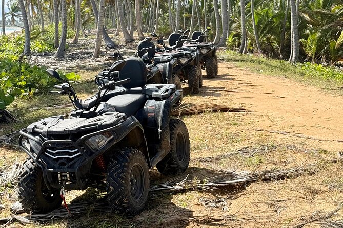 Punta Cana ATV: Jungle, Beach & River Small Group Tour - Practical preparation for the four to five hours