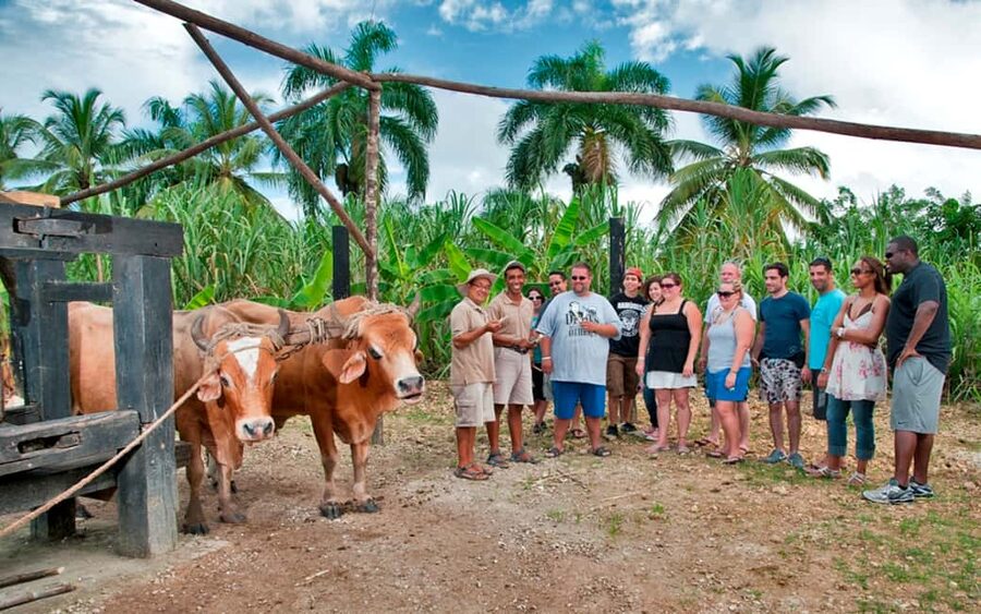 Punta Cana: Bavaro Runners Safari Tour - Leaving the Punta Cana resort strip behind