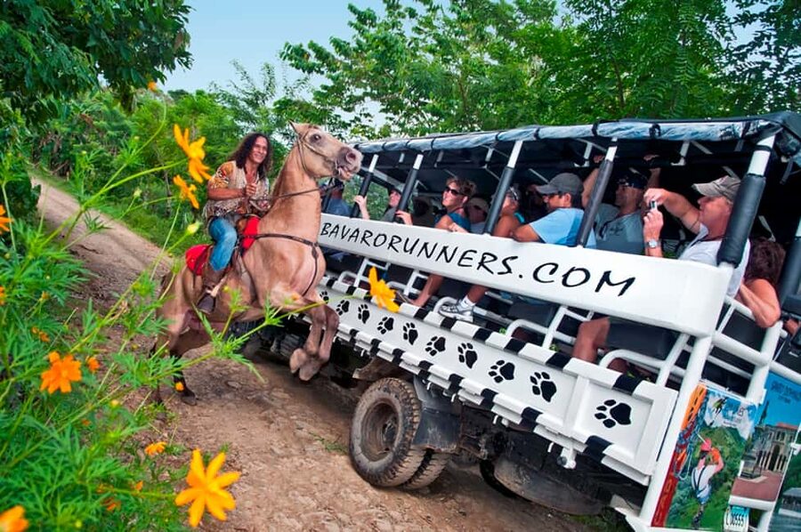 Punta Cana: Bavaro Runners Safari Tour - Sugarcane fields and old farm methods