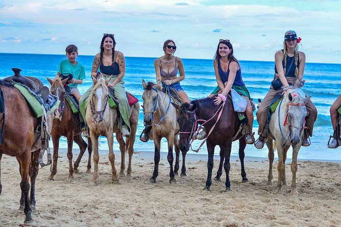 Punta Cana Beach Horseback Ride Paradise Coast Experience - A calm way to see Punta Cana beyond the resort